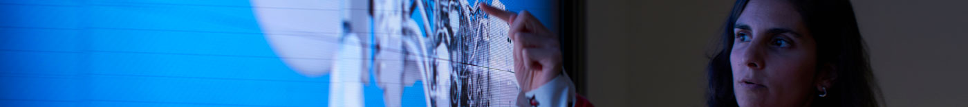 Bild zu Product Security Engineer – Vulnerability Assessment & Threat Intelligence (m/w/d)